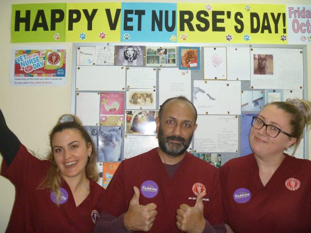 Vet Nurses Day
